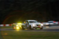QSR Racing - BMW M235i Cup