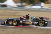 Heinz POWERKIT.shop by Wolf Racing - Wolf Tornado
