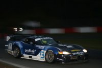 Brass Racing - Viper