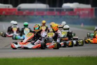 Start DD2 Masters