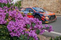 Thierry Neuville - Hyundai i20 WRC
