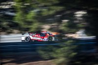 Tockwith Motorsports - Ligier JS P3
