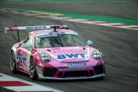 Michael Ammermüller - BWT Lechner Racing