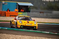 Filip Teunkens - Porsche 911 GT3 Cup