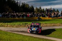 Thierry Neuville - Hyundai i20 Rally1