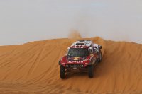 Carlos Sainz - Mini Buggy