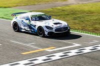 William Tregurtha - CV Performance Group Mercedes AMG