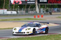 Nicolas Vandierendonck/Jeffrey Van Hooydonk - SRT Corvette ZR1 GTE