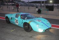 Nico Verdonck - Ford GT40