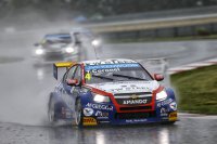 Tom Coronel - Chevrolet Cruze