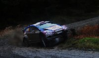 Novikov - Ford Fiësta RS WRC