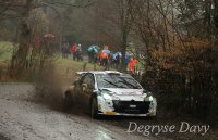 Cedric Cherain - DS3 R5