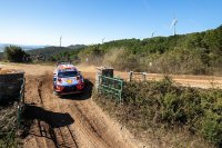 Dani Sordo - Hyundai i20