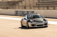 Roger Grouwels - Porsche 991 Cup