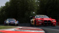 Dave Zizka versus Frank Van Roon - BMW M4 GT3 versus Audi R8 LMS GT3 EvoII