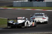 Porsche 919 en 911