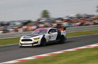 Multimatic Motorsports - Ford Mustang GT4