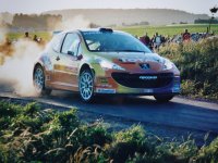 Freddy Loix - Peugeot 207 S2000