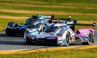 Meyer Shank Racing & Wayne Taylor Racing - Acura ARX-06