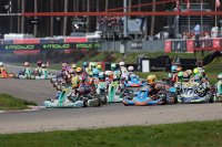 Rotax Senior Max