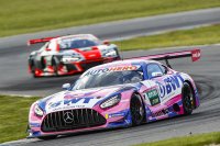 Maximilian Götz - Haupt Racing Team Mercedes-AMG