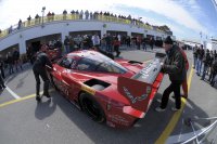 Gainsco/Bob Stallings Racing - Corvette DP