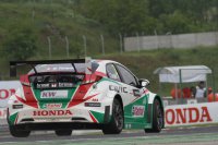 Gabriele Tarquini - Honda Civic WTCC