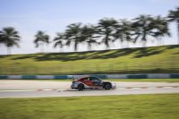 Frédéric Vervisch - Comtoyou Racing Audi RS 3 LMS TCR
