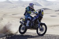 Dakar 2013 - Pain