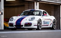 Porsche Cayman GT4 - Thems Racing