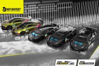 T3 Motorsport - ADAC GT Masters