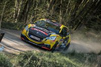 Guillaume de Mévius - Peugeot 208 R2