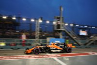 Stoffel Vandoorne - McLaren-Honda