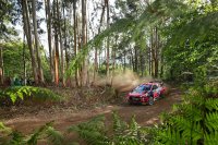Thierry Neuville - Hyundai i20