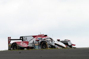 Jackie Chan DC Racing - Oreca