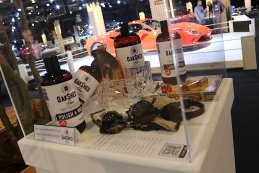 Brussels Motor Show 2020 - Oadshad Polisch