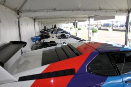 BMW M 50 years