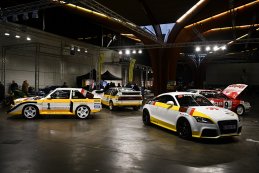 Audi Rally