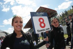 6H Spa: De grid in beeld gebracht