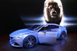 Peugeot Exalt