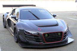 Dieter Schmidtmann - Audi GT3 R8 LMS Ultra