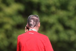 Ferrari fan GP Italië 2015