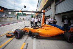 Stoffel Vandoorne - McLaren