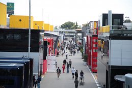 Ambiance Paddock
