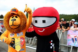 Mascottes bij elkaar