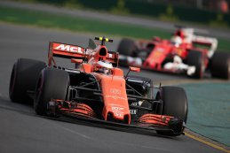 Stoffel Vandoorne - McLaren-Honda