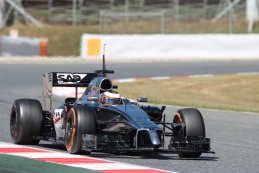 Stoffel Vandoorne - McLaren Mercedes