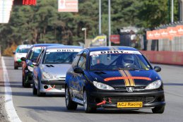 Alexander Japin - Peugeot 206 GTI