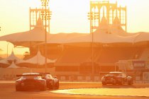 FIA GT Nations Cup: al 10 landen ingeschreven - Belgisch project in de maak