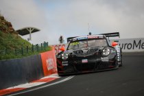 Bathurst 12H: twintig paarden om op te wedden...